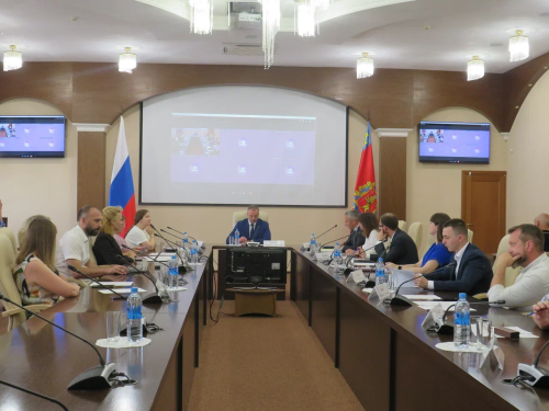 Особенности налогового мониторинга для ОЭЗ и ТОР обсудили на рабочей встрече во Владимире